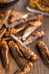 Dried salted insect. Roasted grasshoppers on wooden table.