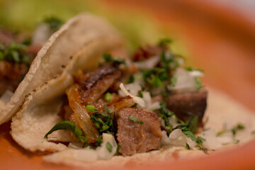 Confit pork Carnitas tacos and chopped cilantro at Michoacan, Mexico, close-up.
