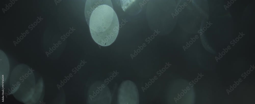 Poster abstract dark bokeh blurred circular light patterns in atmospheric moody black backdrop