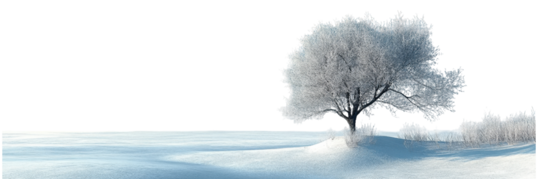 Serene Winter Landscape, soft snow covering a vast expanse, pure white backdrop creating a tranquil and minimalistic atmosphere