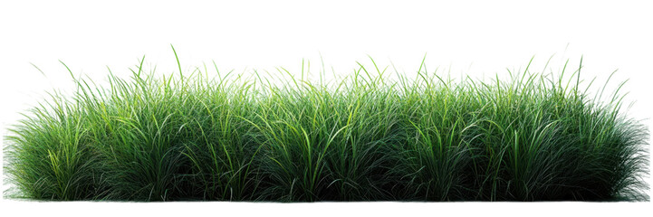 Obraz premium Lush Green Grass on Crisp White Surface, simple elegance, serene atmosphere, minimalist aesthetic, vibrant natural elements, fresh and clean design