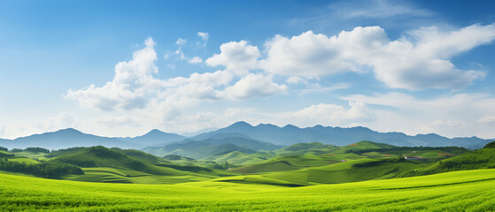 Obraz premium Wide-Angle View of Countryside Landscape