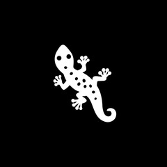 Lizard