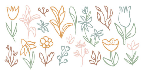 Flowers and leaves crayon drawn set. Spring tulip, daisy, chamomile and marguerite plants doodle. Chalk or pastel style childish shape. Vector naive pencil illustration isolated on white background.