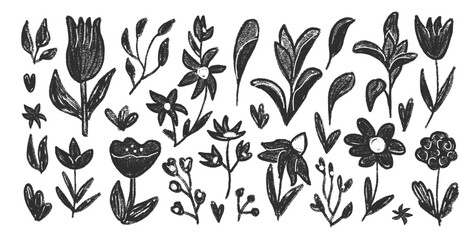 Hand drawn flowers and leaves set. Charcoal linocut poppy, tulip, daisy doodle monochrome. Floral chamomile and marguerite kids chalk style shape. Vector black pencil illustration on white background.