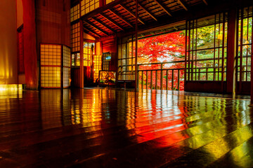 南昌荘の紅葉（床もみじ）