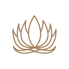 Beauty Lotus flowers