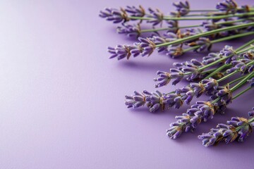 Lavender sprigs arranged on a purple background