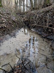 A muddy stream with a lot of debris and branches. The water is murky and the ground is covered in mud