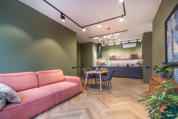Modern interior of the studio apartment. Cozy room in an unusual color scheme. Gray-green walls, pink sofa and blue kitchen furniture.