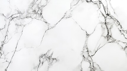 Obraz premium White Marble Texture With Black Veining Detail