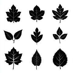 Obraz premium Collection of Autumn Leaf Shapes in Silhouette Style â€“ A Trio of Simple Oak Designs