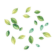 Adobe Illustrator Artwork