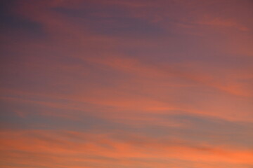 Beautiful evening sky with pink clouds