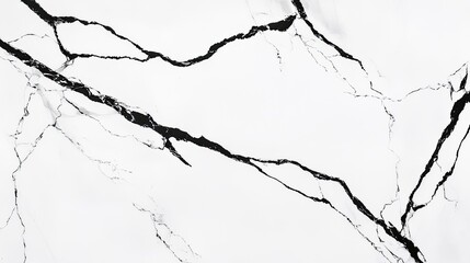 Obraz premium Abstract Black Veins on White Marble Background