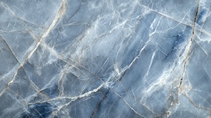 Obraz premium Detailed Texture Of Blue Veined Marble Stone