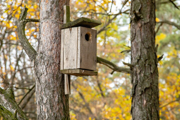 A wooden birdhouse on a tree in an autumn forest. The concept of bird nesting and wildlife habitat