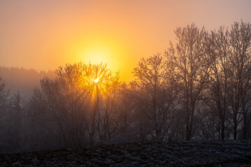 The Bavarian Forest National Park reveals a serene winter scene, with frost-covered trees and a...