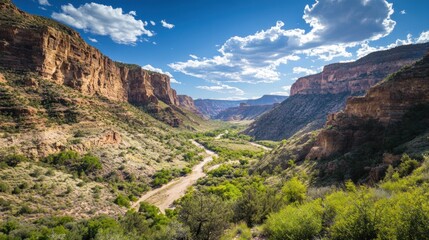 Fototapeta premium A Scenic View of a Canyon With a Winding River