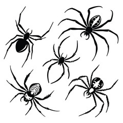 black and white spider icon set illustrations for Halloween designs