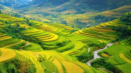 Fototapeta premium Picturesque Rice Terraces in Lush Green Valley