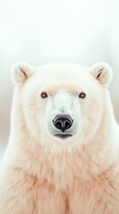 Fototapeta premium A polar bear gazes intently, standing on a detached ice block against a stark, icy backdrop.