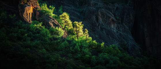Ridge line illuminated by sunset glow showcasing vibrant and lush greenery