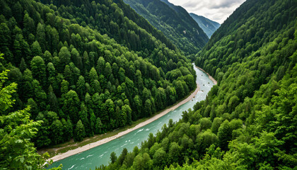 Vallée de verdure avec rivière sinueuse