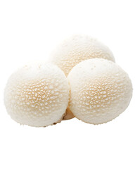 Three Off-White Textured Mushrooms Isolated On A White Background, PNG Transparent