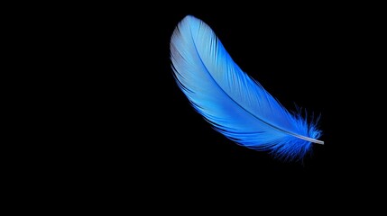 Blue feather is suspended in midair. The feather is the only thing visible in the image