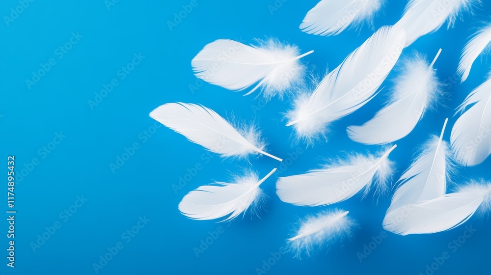 Poster blue background with white feathers scattered across it. the feathers are in various sizes and orien