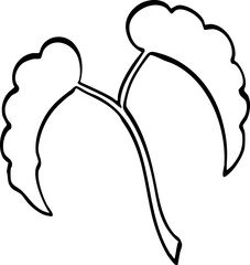 hand drawn cartoon of plant illustration.