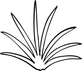 hand drawn cartoon of plant illustration.