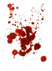 Splash blood   in white background