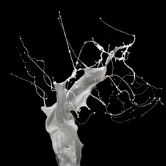 Energetic splash of milk or white paint isolated on black background