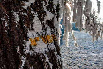 Zima w górach, Beskid Sądecki, Muszyna góra Malnik