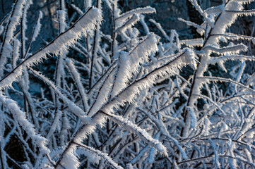 Zima w górach, Beskid Sądecki, Muszyna góra Malnik
