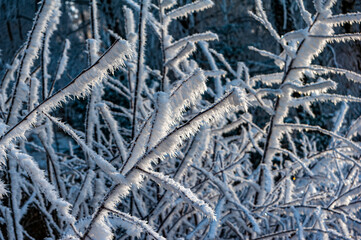 Zima w górach, Beskid Sądecki, Muszyna góra Malnik