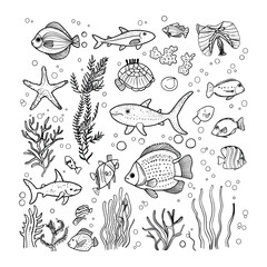 Sea life drawing vector design template