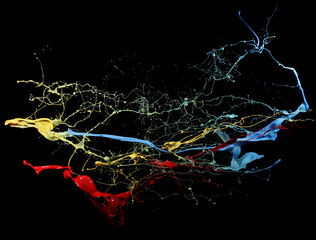 splashes of multi-colored paint