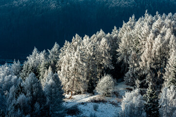 Szron, polskie góry, Beskid Sądecki, Małopolska, Muszyna.
