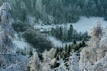 Szron, polskie góry, Beskid Sądecki, Małopolska, Muszyna.
