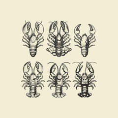 Lobster engraving design vector template