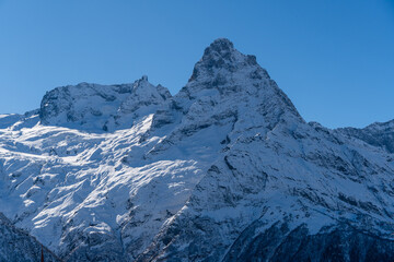 Fototapeta premium Dombay. Karachay-Cherkessia. Giant rocks with snow-capped peaks and glaciers rise majestically against blue autumn sky. Pine and spruce forests grow at foot of mountains. Sunny day. Autumn 2024
