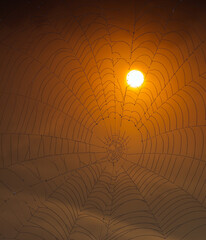 Słońce Uwięzione w Pajęczej Sieci  © Wojciech Lisiński