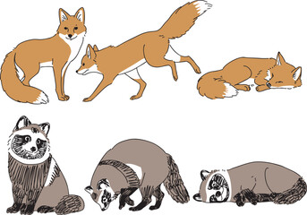 さまざまなポーズのキツネとタヌキ