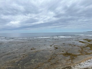 宮城海岸