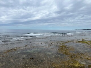 砂辺海岸