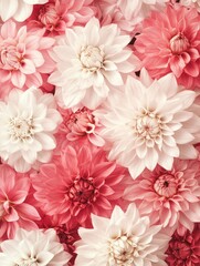 Pink and White Floral Arrangement