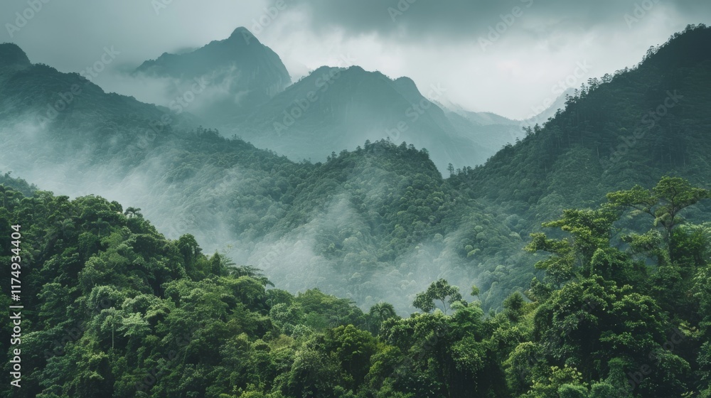 Poster scenic mountain range covered in dense forests with overcast sky